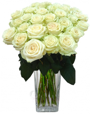 Bouquet of white roses - White roses