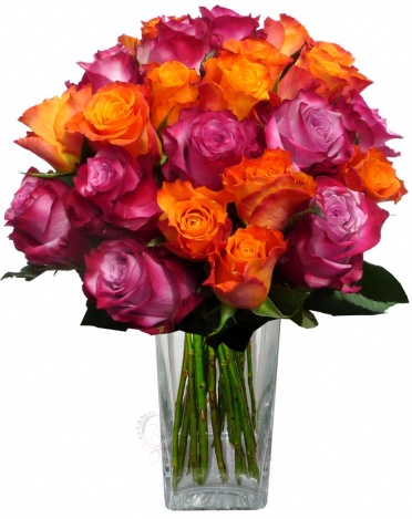 Bouquet of mixed purple and orange roses - Mixed purple and orange roses