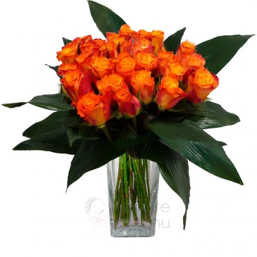 Bouquet of orange roses + greenery - Orange roses, greenery