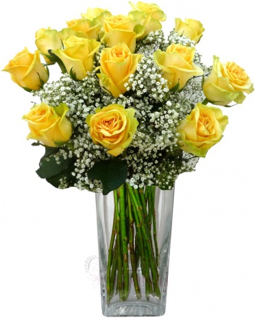 Bouquet of yellow roses + gypsophila - Yellow roses, gypsophila