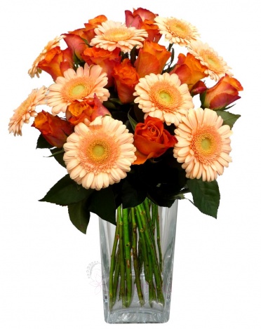 букет микс - роз, гербера - Orange roses, gerberas