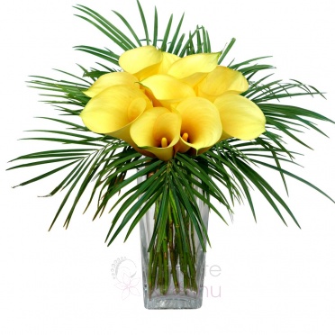 Bouquet of yellow callas and greenery - Yellow Callas, greenery