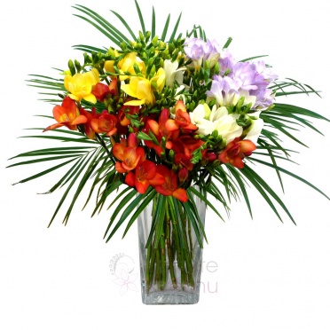 Bouquet of fresias + greenery - Fresia, greenery