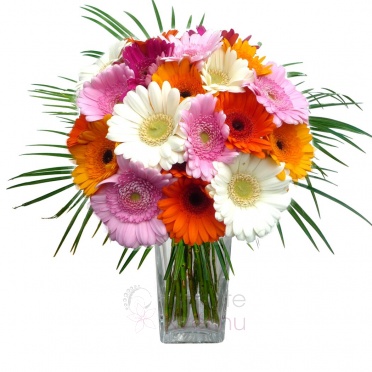 Bouquet of Gerberas + greenery - Gerbera, greenery