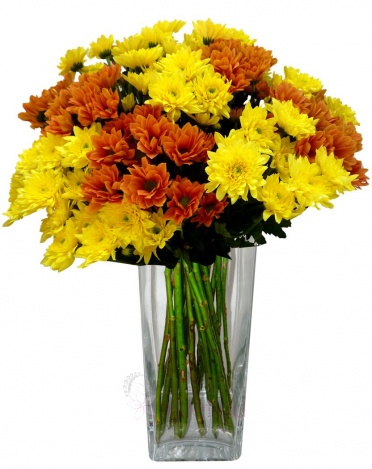 букет из оранжевый и желтый хризантемы - Orange, yellow chrysanthemum