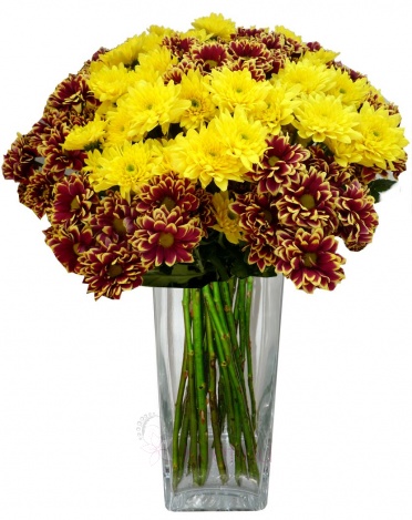 Букет из желтых хризантем и отжигают - Yellow, streaked chrysanthemums