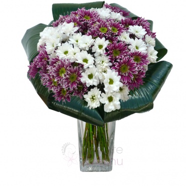 Bouquet of white and purple chrysanthemums + greenery - White, streaked chrysanthemums, greenery