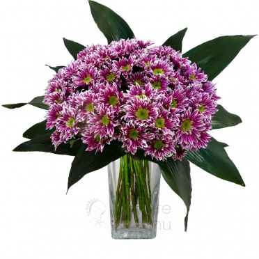 Bouquet of purple chrysanthemums + greenery - Purple chrysanthemum, greenery