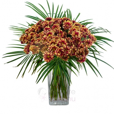 Bouquet of streaked chrysanthemums + greenery - Streaked chrysanthemums, greenery