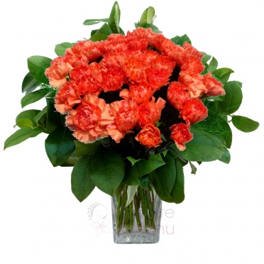 Bouquet of orange carnations + greenery - carnation, greenery