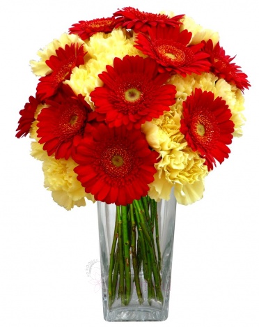 Mixed bouquet of carnations and gerberas - Carnation, gerberas mini