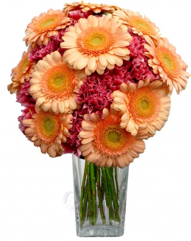 букет микс - гвоздика, гербера - carnation, gerbera