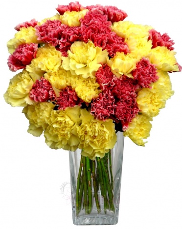 Mixed bouquet of red and yellow carnations - red and yellow carnation