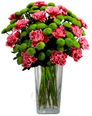 Mixed bouquet of red carnations and santinies - red carnation, greenery