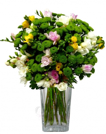 Mixed bouquet fresias and santinies - fresias, santini