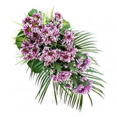 funeral spray - streaked chrysanthemum (bunch), greenery - streaked chrysanthemum