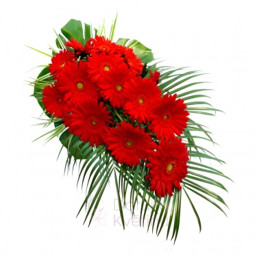 funeral spray - gerberas, greenery - red gerberas