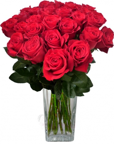 Bouquet of roses - Roses