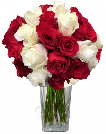 Bouquet of red and white roses